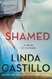 Shamed Book Cover - Click to open Top Sellers panel