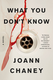 What You Don't Know Book Cover - Click to open Coming Soon panel