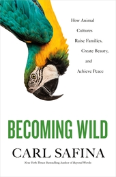 Becoming Wild Book Cover - Click to open Top Sellers panel
