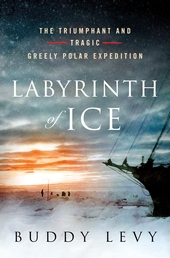 Labyrinth of Ice Book Cover - Click to open Latest Guides panel