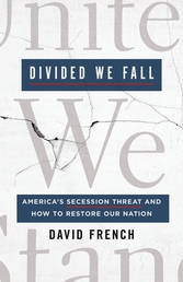 Divided We Fall Book Cover - Click to open New Releases panel