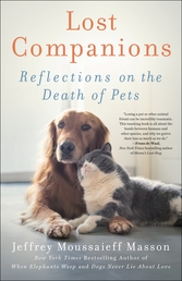 Lost Companions Book Cover - Click to open Coming Soon panel