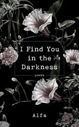 I Find You in the Darkness Book Cover - Click to open New Releases panel