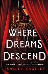 Where Dreams Descend Book Cover - Click to open Top Sellers panel
