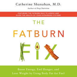 The Fatburn Fix Book Cover - Click to open Audiobooks panel