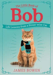 The Little Book of Bob Book Cover - Click to open Coming Soon panel
