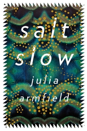 salt slow Book Cover - Click to open New Releases panel