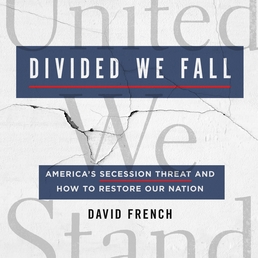 Divided We Fall Book Cover - Click to open Coming Soon panel