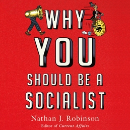 Why You Should Be a Socialist Book Cover - Click to open Audiobooks panel