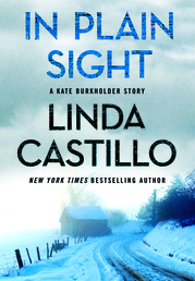In Plain Sight Book Cover - Click to open Coming Soon panel