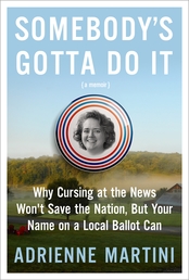 Somebody's Gotta Do It Book Cover - Click to open Henry Holt panel