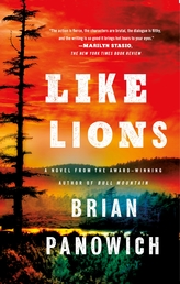Like Lions Book Cover - Click to open New Releases panel