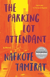 The Parking Lot Attendant Book Cover - Click to open Latest Guides panel