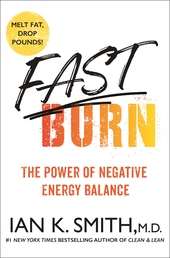 Fast Burn! Book Cover - Click to open New Releases panel