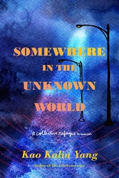 Somewhere in the Unknown World Book Cover - Click to open Metropolitan Books panel