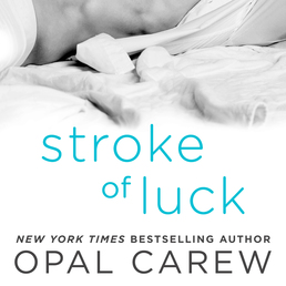 Stroke of Luck Book Cover - Click to open Audiobooks panel