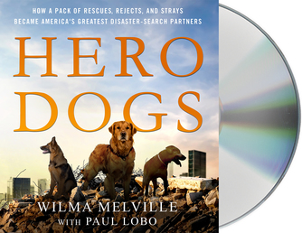 Hero Dogs Book Cover - Click to open Top Sellers panel