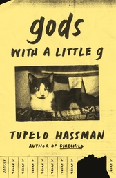 gods with a little g Book Cover - Click to open New Releases panel