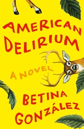 American Delirium Book Cover - Click to open Henry Holt panel