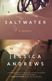 Saltwater Book Cover - Click to open New Releases panel