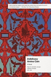 Indelicacy Book Cover - Click to open New Releases panel