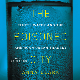 The Poisoned City Book Cover - Click to open Audiobooks panel