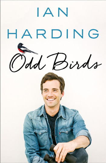 ODD BIRDS