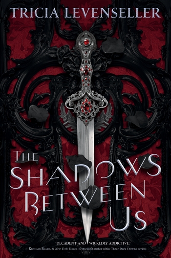 THE SHADOWS BETWEEN US